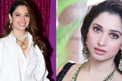 Tamannaah Bhatia Net Worth: जानें कहाँ से आयी इतनी सम्पति