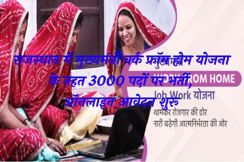 Rajasthan Work from Home Job 2026